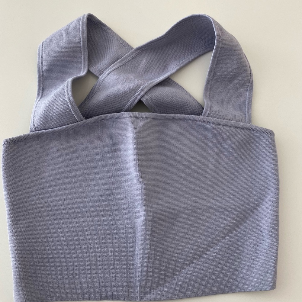 Aritizia - Babaton fitted crop top